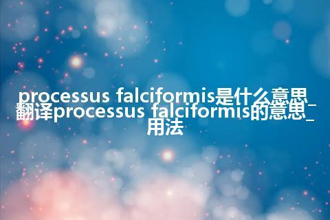 processus falciformis是什么意思_翻译processus falciformis的意思_用法