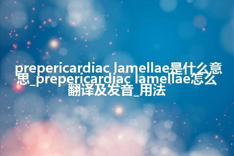 prepericardiac lamellae是什么意思_prepericardiac lamellae怎么翻译及发音_用法