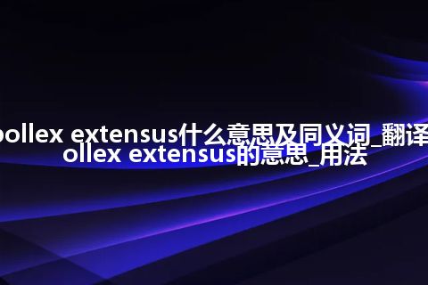 pollex extensus什么意思及同义词_翻译pollex extensus的意思_用法