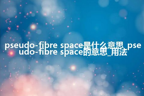 pseudo-fibre space是什么意思_pseudo-fibre space的意思_用法