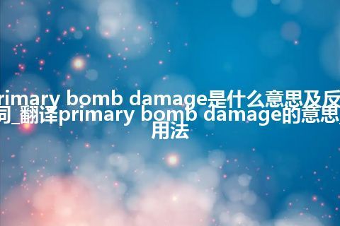 primary bomb damage是什么意思及反义词_翻译primary bomb damage的意思_用法