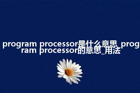 program processor是什么意思_program processor的意思_用法