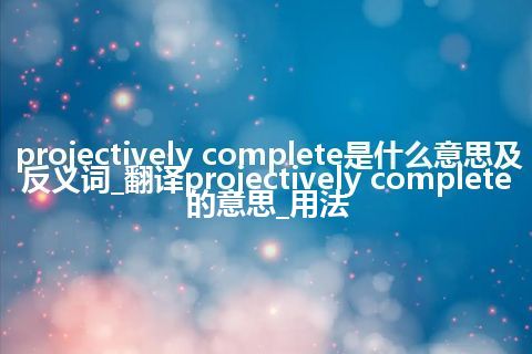 projectively complete是什么意思及反义词_翻译projectively complete的意思_用法