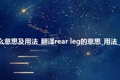 rear leg是什么意思及用法_翻译rear leg的意思_用法_例句_英语短语