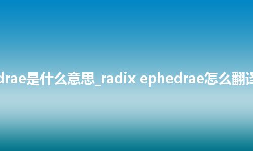 radix ephedrae是什么意思_radix ephedrae怎么翻译及发音_用法
