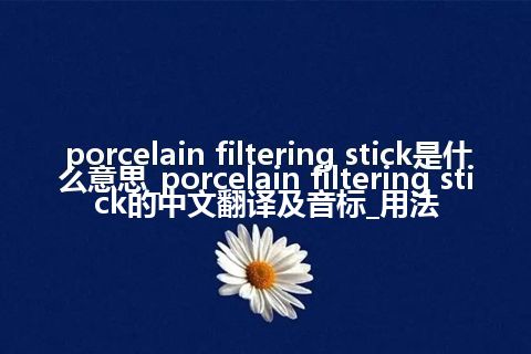 porcelain filtering stick是什么意思_porcelain filtering stick的中文翻译及音标_用法