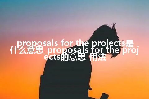 proposals for the projects是什么意思_proposals for the projects的意思_用法