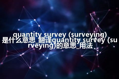 quantity survey (surveying)是什么意思_翻译quantity survey (surveying)的意思_用法