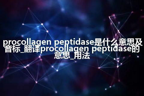procollagen peptidase是什么意思及音标_翻译procollagen peptidase的意思_用法