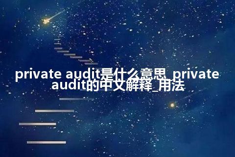 private audit是什么意思_private audit的中文解释_用法