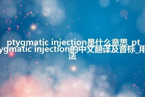 ptygmatic injection是什么意思_ptygmatic injection的中文翻译及音标_用法