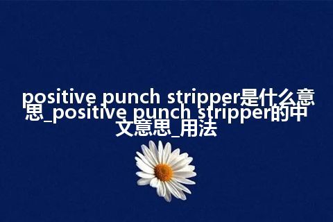 positive punch stripper是什么意思_positive punch stripper的中文意思_用法