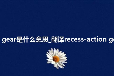 recess-action gear是什么意思_翻译recess-action gear的意思_用法