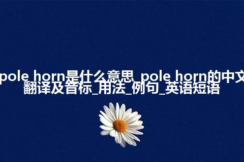 pole horn是什么意思_pole horn的中文翻译及音标_用法_例句_英语短语