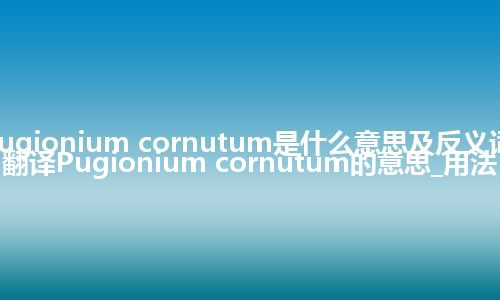 Pugionium cornutum是什么意思及反义词_翻译Pugionium cornutum的意思_用法
