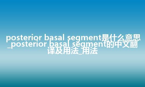 posterior basal segment是什么意思_posterior basal segment的中文翻译及用法_用法