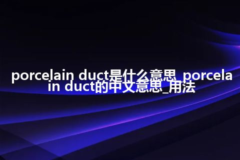 porcelain duct是什么意思_porcelain duct的中文意思_用法