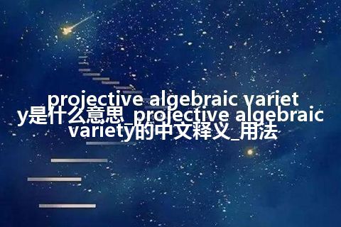 projective algebraic variety是什么意思_projective algebraic variety的中文释义_用法
