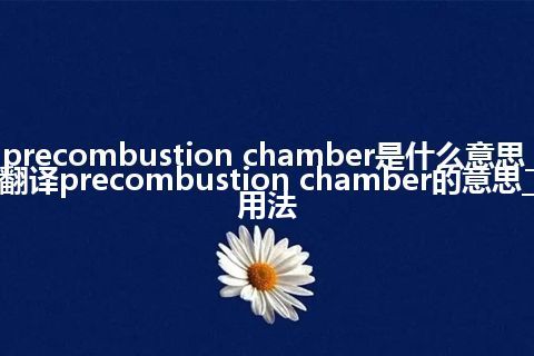 precombustion chamber是什么意思_翻译precombustion chamber的意思_用法