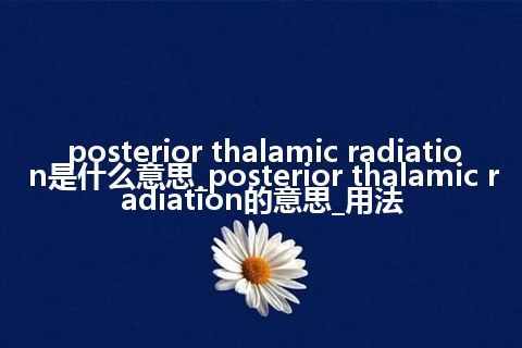 posterior thalamic radiation是什么意思_posterior thalamic radiation的意思_用法
