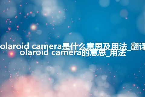 Polaroid camera是什么意思及用法_翻译Polaroid camera的意思_用法