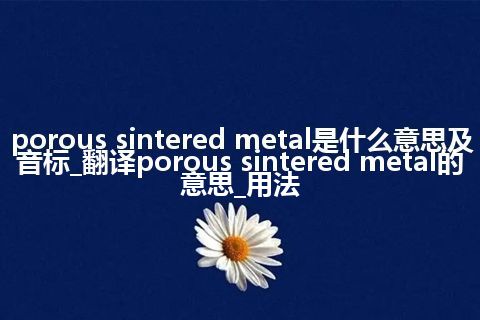 porous sintered metal是什么意思及音标_翻译porous sintered metal的意思_用法