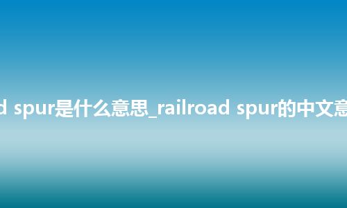 railroad spur是什么意思_railroad spur的中文意思_用法