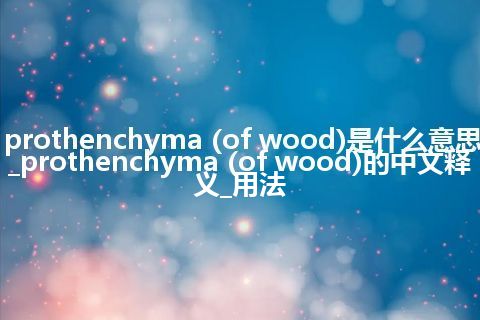 prothenchyma (of wood)是什么意思_prothenchyma (of wood)的中文释义_用法
