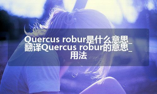 Quercus robur是什么意思_翻译Quercus robur的意思_用法