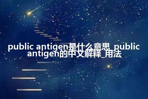 public antigen是什么意思_public antigen的中文解释_用法