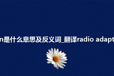 radio adaptation是什么意思及反义词_翻译radio adaptation的意思_用法