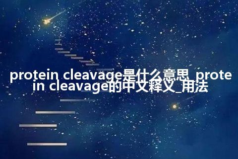 protein cleavage是什么意思_protein cleavage的中文释义_用法