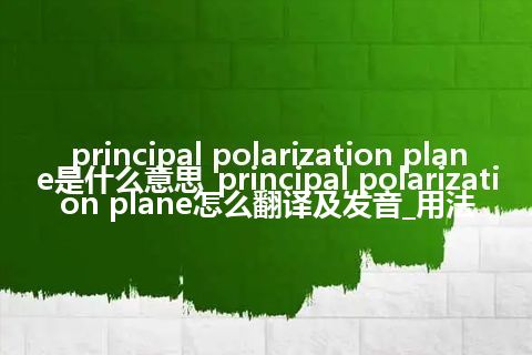 principal polarization plane是什么意思_principal polarization plane怎么翻译及发音_用法
