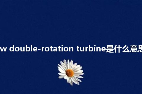 radial-flow double-rotation turbine是什么意思_中文意思
