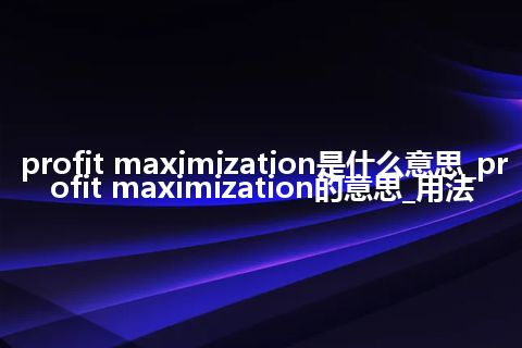 profit maximization是什么意思_profit maximization的意思_用法