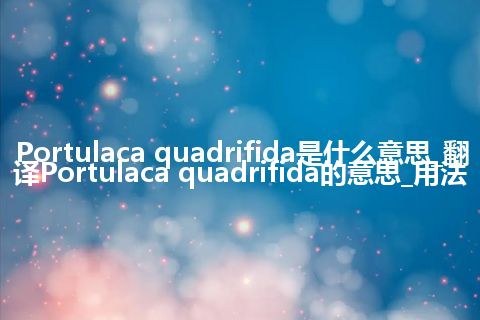 Portulaca quadrifida是什么意思_翻译Portulaca quadrifida的意思_用法
