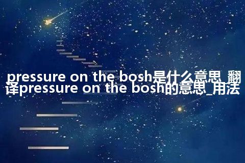 pressure on the bosh是什么意思_翻译pressure on the bosh的意思_用法