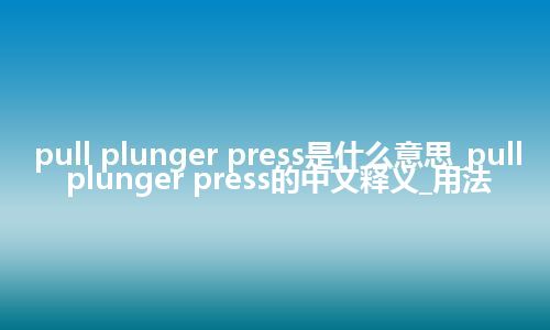 pull plunger press是什么意思_pull plunger press的中文释义_用法