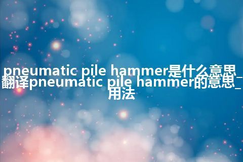 pneumatic pile hammer是什么意思_翻译pneumatic pile hammer的意思_用法