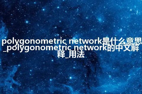 polygonometric network是什么意思_polygonometric network的中文解释_用法