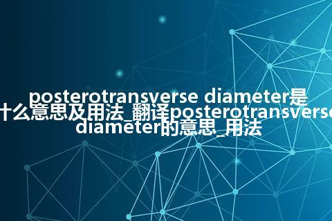 posterotransverse diameter是什么意思及用法_翻译posterotransverse diameter的意思_用法