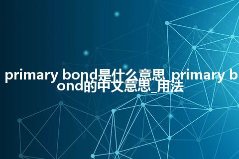 primary bond是什么意思_primary bond的中文意思_用法