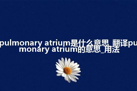 pulmonary atrium是什么意思_翻译pulmonary atrium的意思_用法