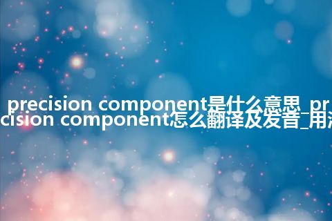 precision component是什么意思_precision component怎么翻译及发音_用法