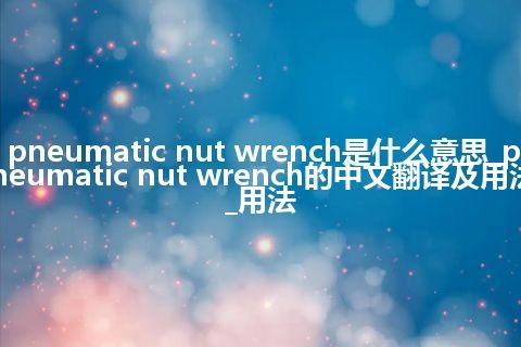 pneumatic nut wrench是什么意思_pneumatic nut wrench的中文翻译及用法_用法