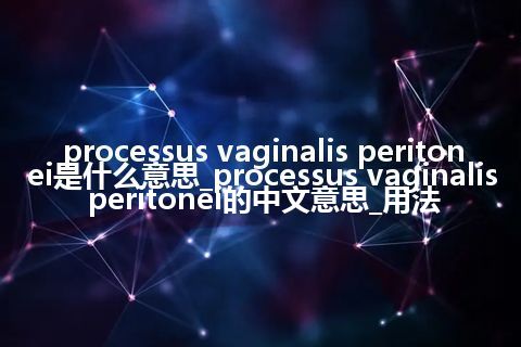 processus vaginalis peritonei是什么意思_processus vaginalis peritonei的中文意思_用法