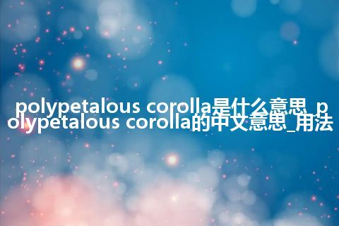 polypetalous corolla是什么意思_polypetalous corolla的中文意思_用法