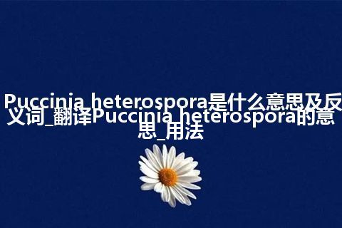 Puccinia heterospora是什么意思及反义词_翻译Puccinia heterospora的意思_用法