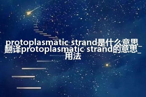 protoplasmatic strand是什么意思_翻译protoplasmatic strand的意思_用法