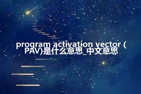 program activation vector (PAV)是什么意思_中文意思
